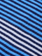 Blue Multi Stripe Swatch