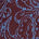 Blue Mountain Paisley Mix Swatch
