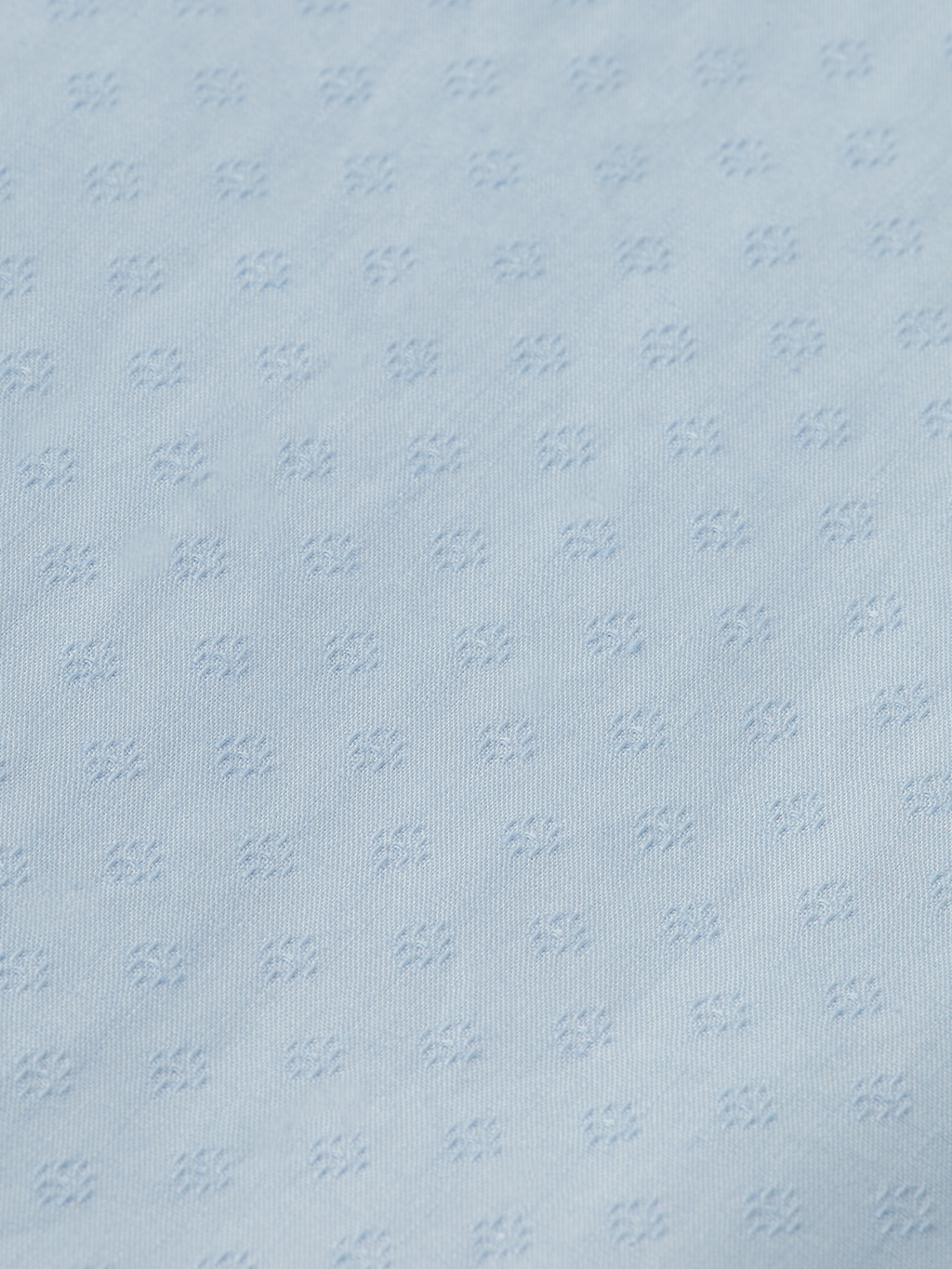 Regular Fit Occasion Button Down Shirt