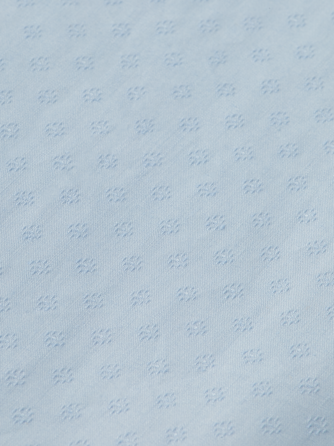 Regular Fit Occasion Button Down Shirt