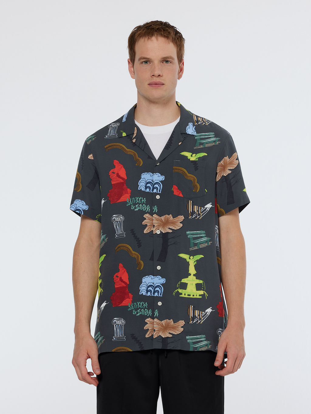 Regular Fit Short Sleeve Park Print Shirt