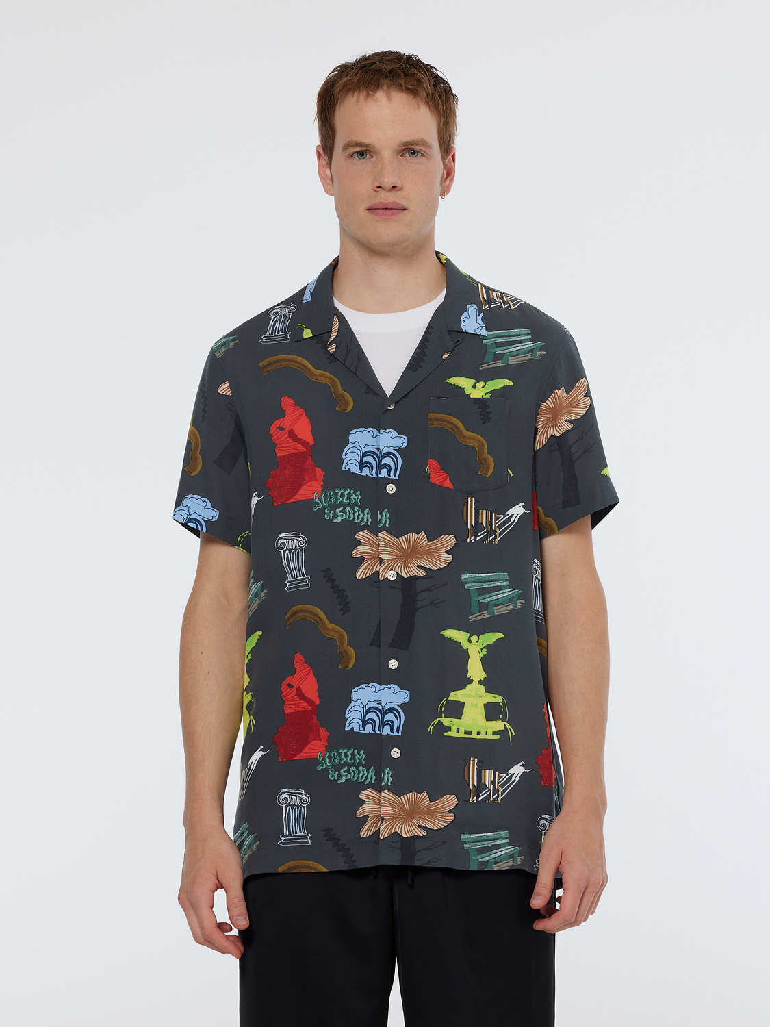 Regular Fit Short Sleeve Park Print Shirt