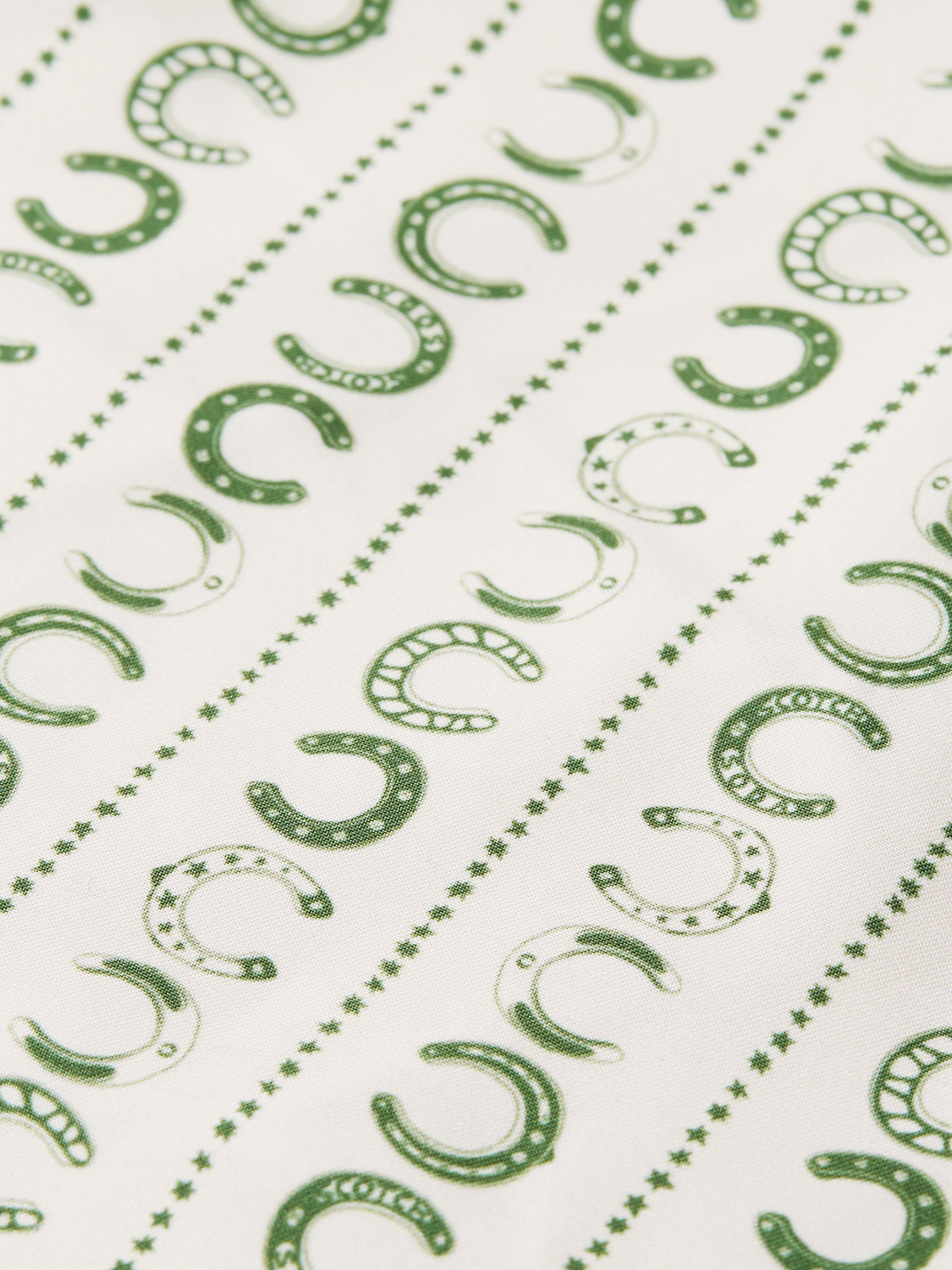 Printed Midlength Swim Shorts