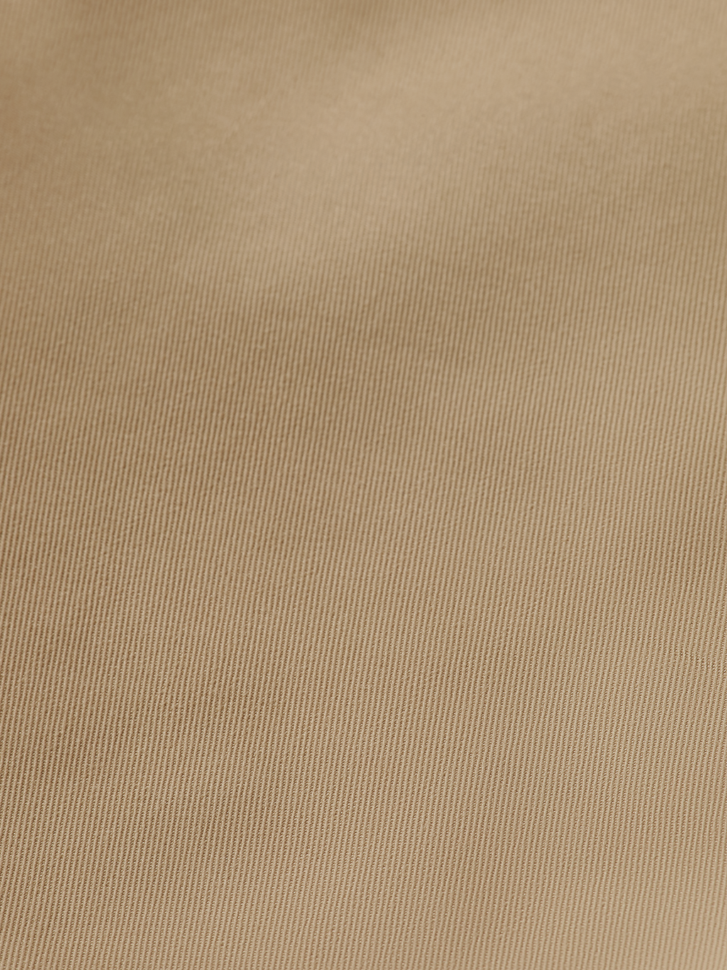 Edie Tailored Wide-Leg Fixed Belt Pant