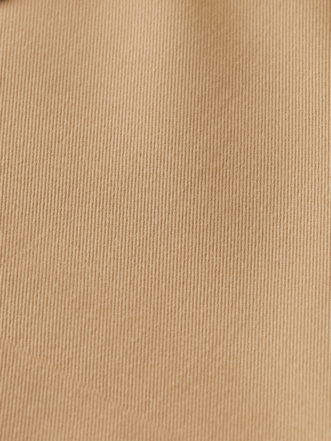 Fitted Short Sleeve Shirt