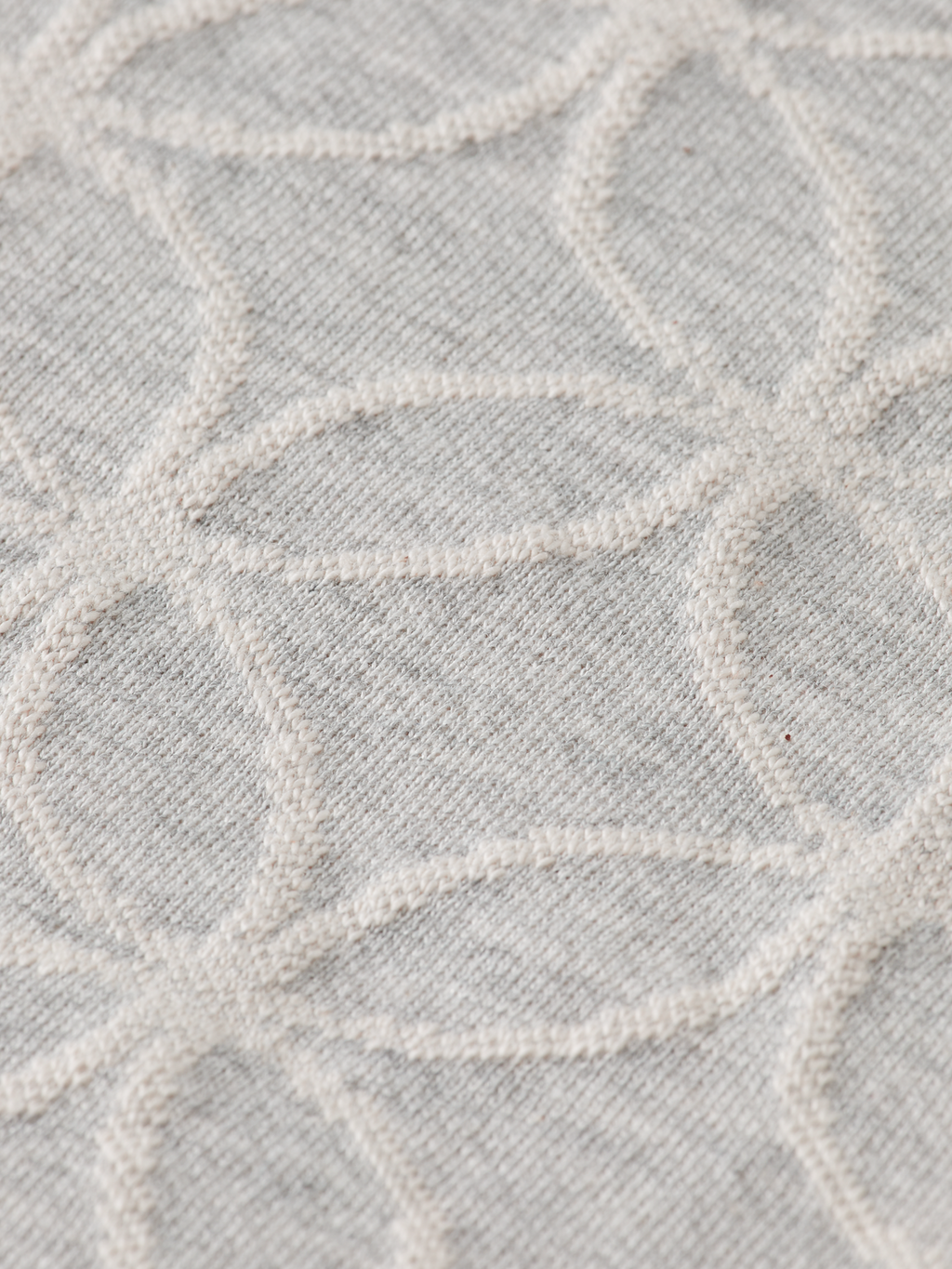 Regular Fit Jacquard Hoodie