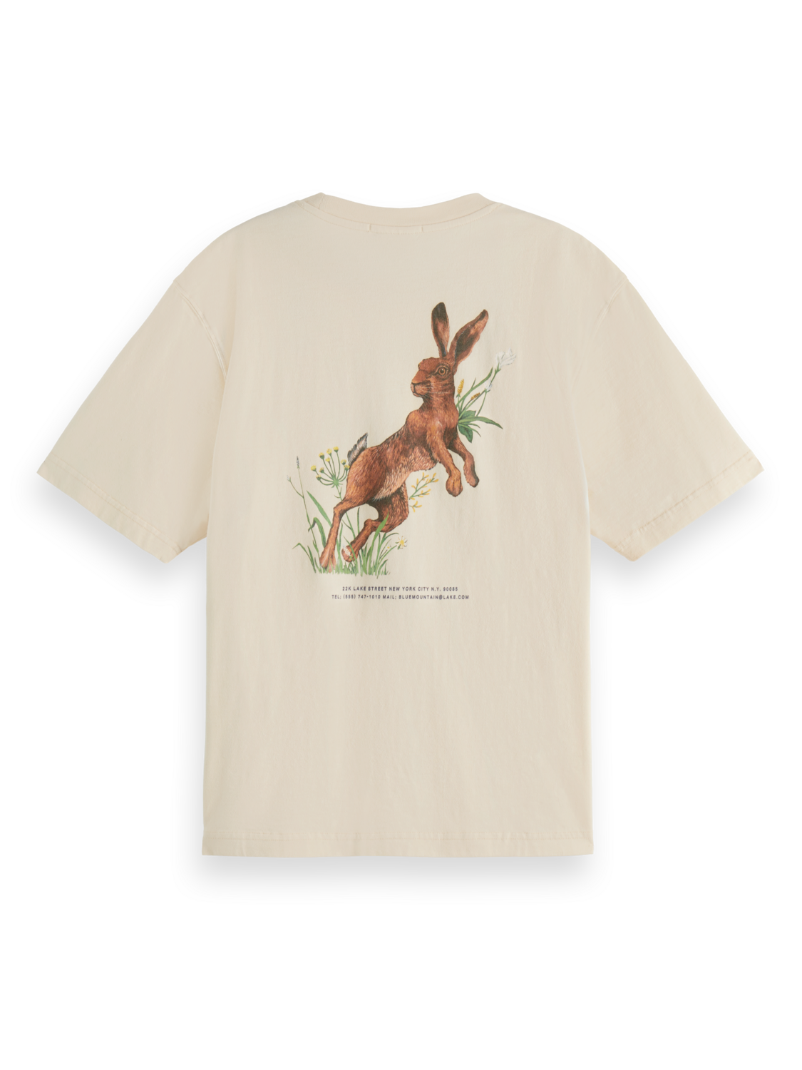 Blue Mountain Lake Washed Artwork Loose Fit T-Shirt