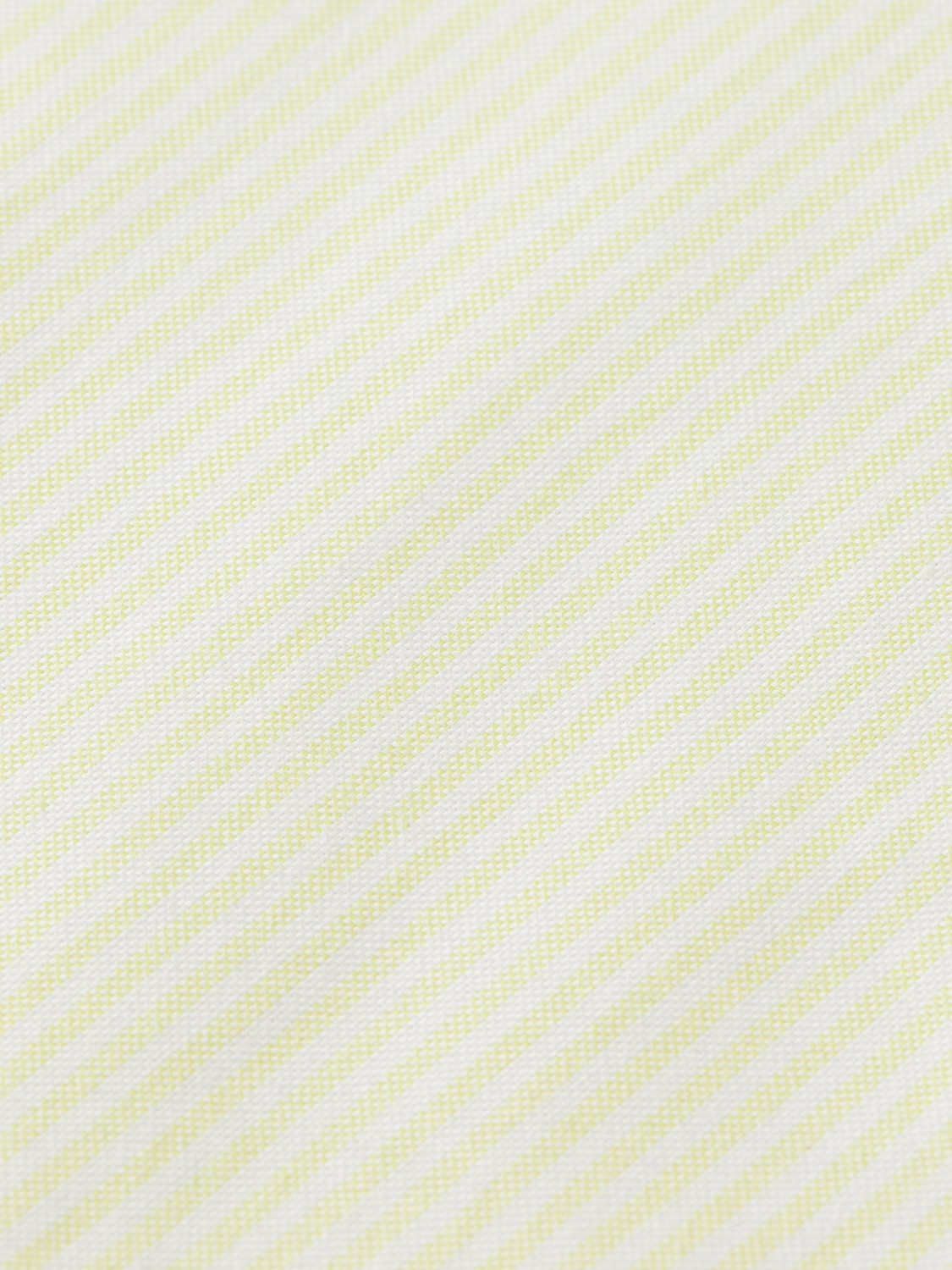 Regular Fit Stripe Oxford Shirt