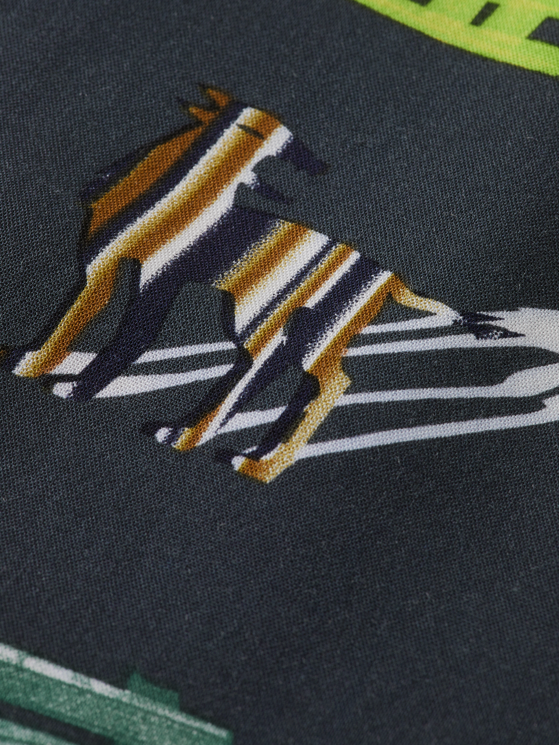 Regular Fit Short Sleeve Park Print Shirt