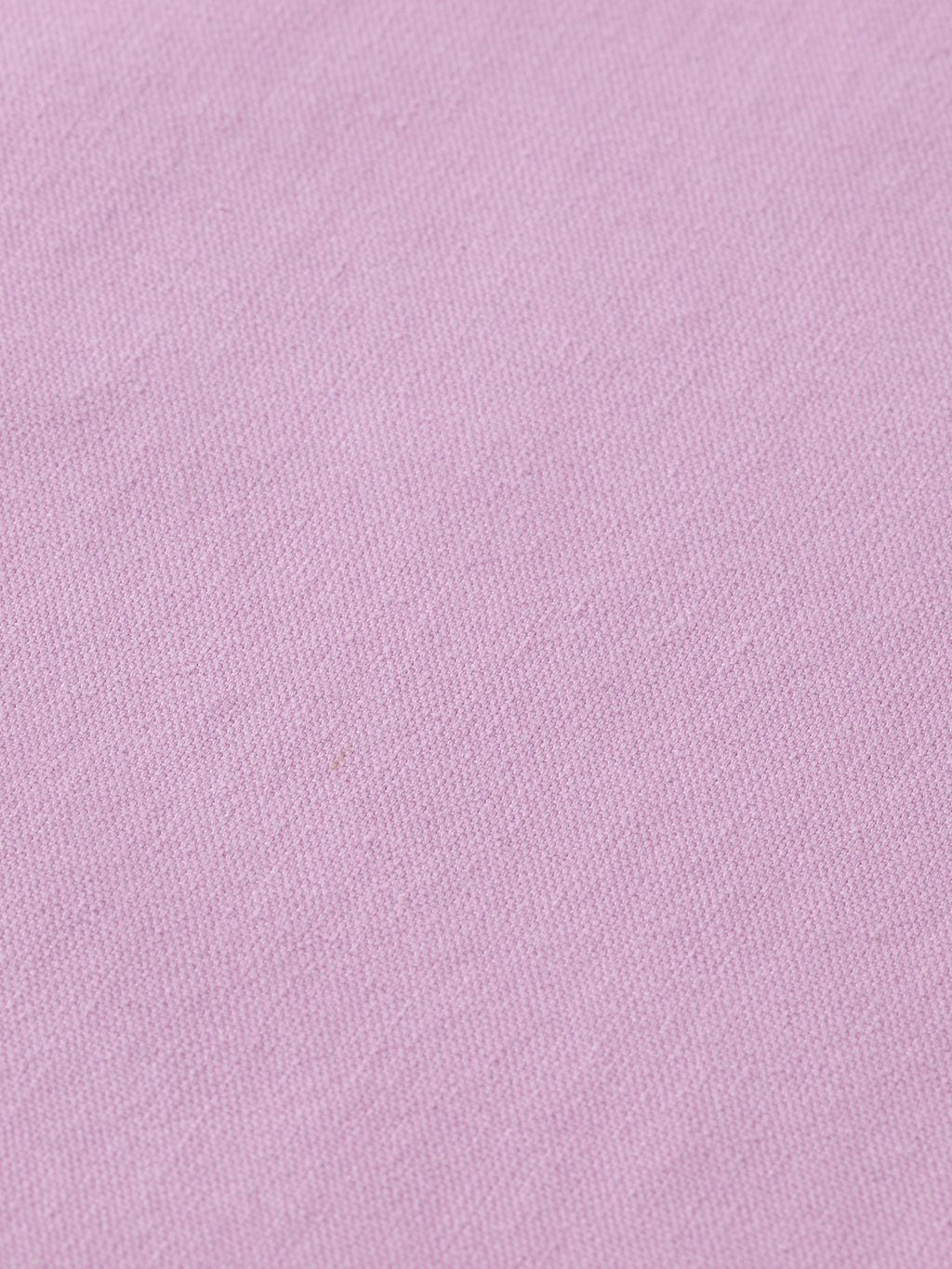 Ezra High-Rise Wide-Leg Belted Pant