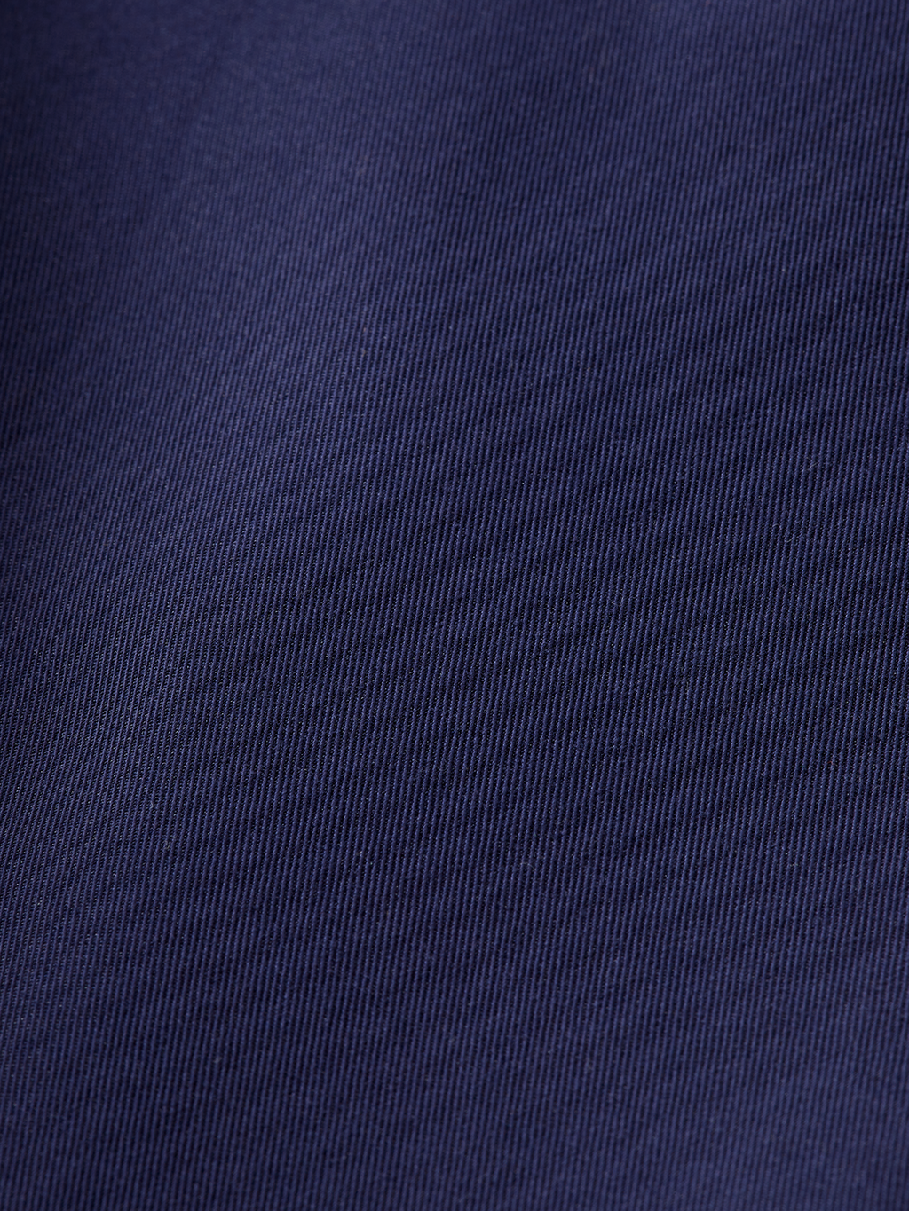 Edie Tailored Wide-Leg Fixed Belt Pant