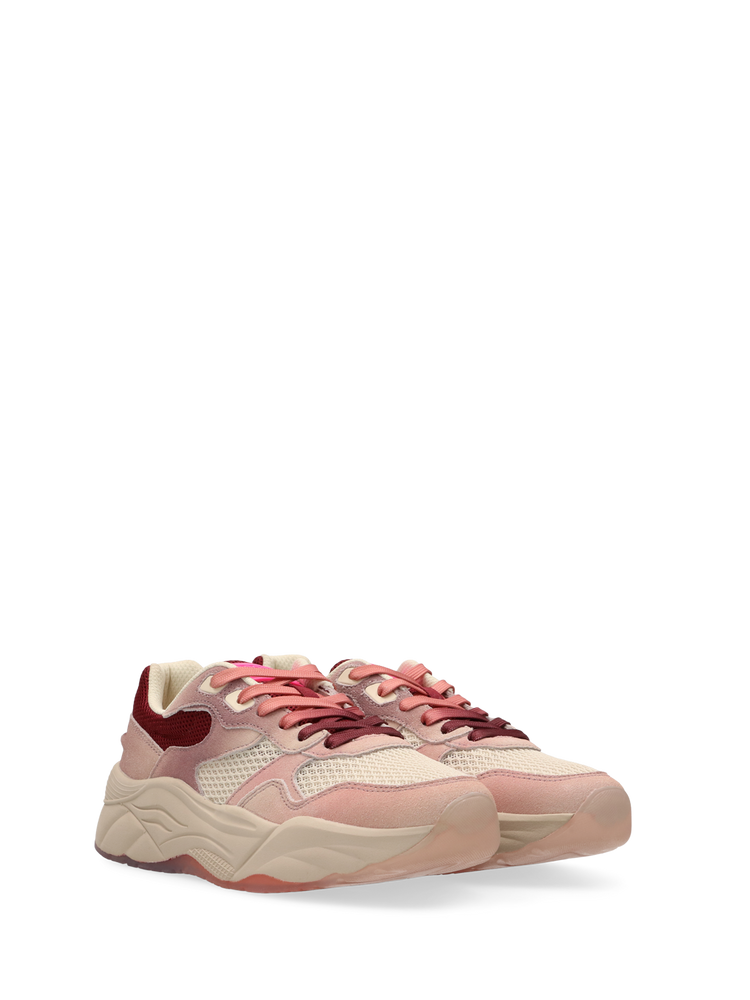 Celest Sneakers Scotch Soda