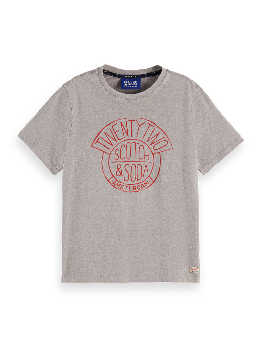 Washed Regular Fit T-Shirt With Graphic