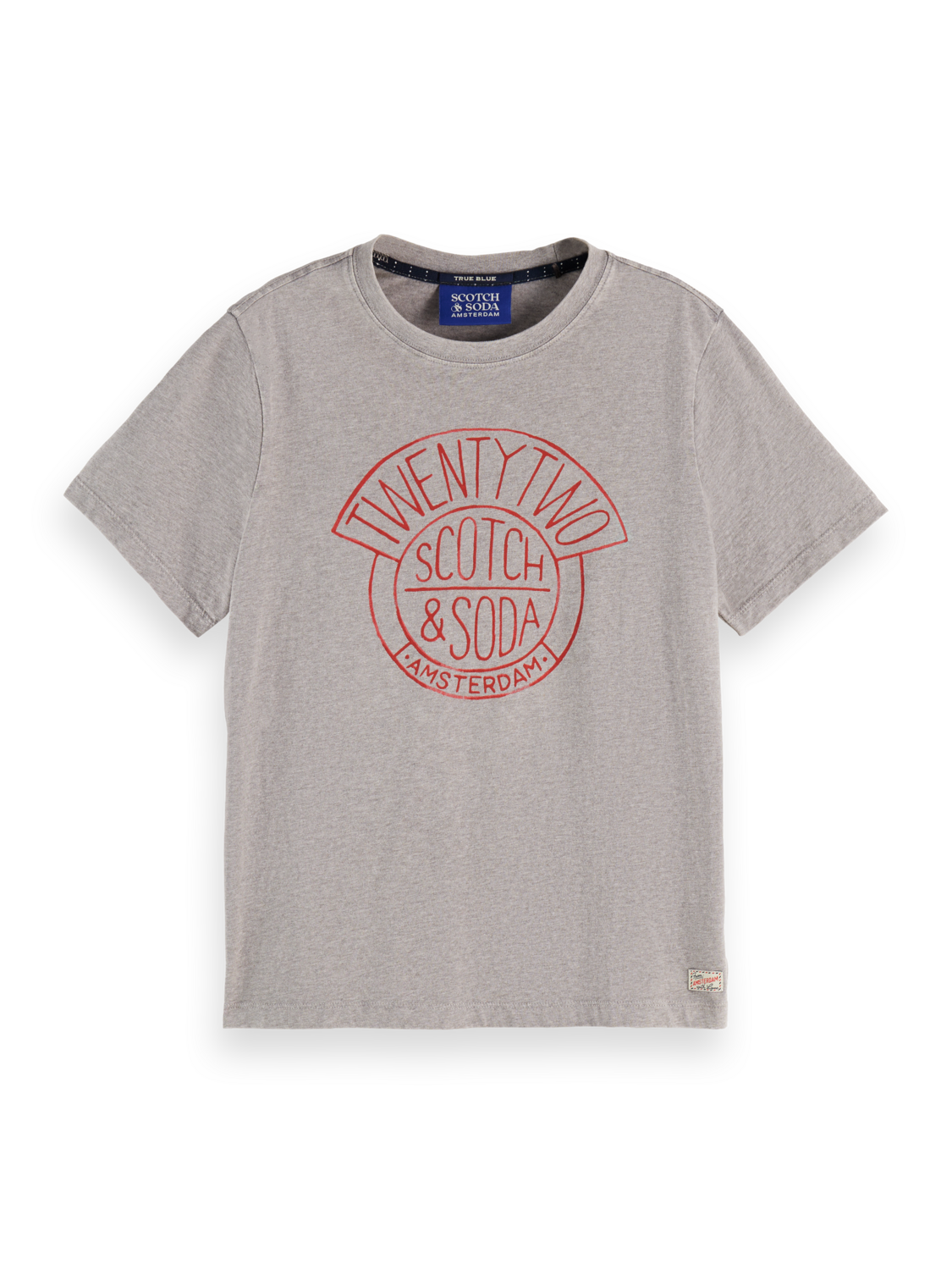 Washed Regular Fit T-Shirt With Graphic