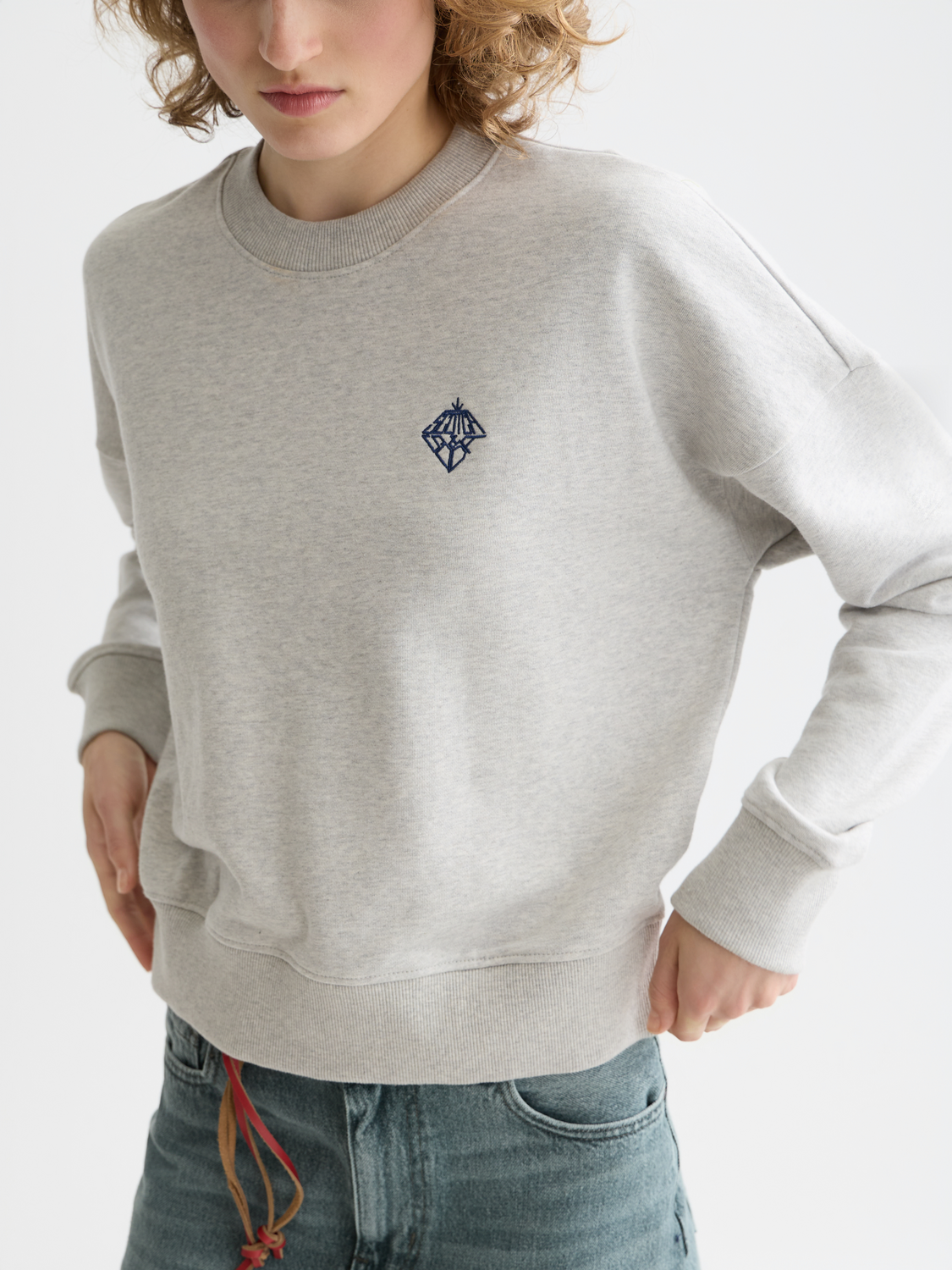 Embroidered Logo Relaxed Fit Sweatshirt