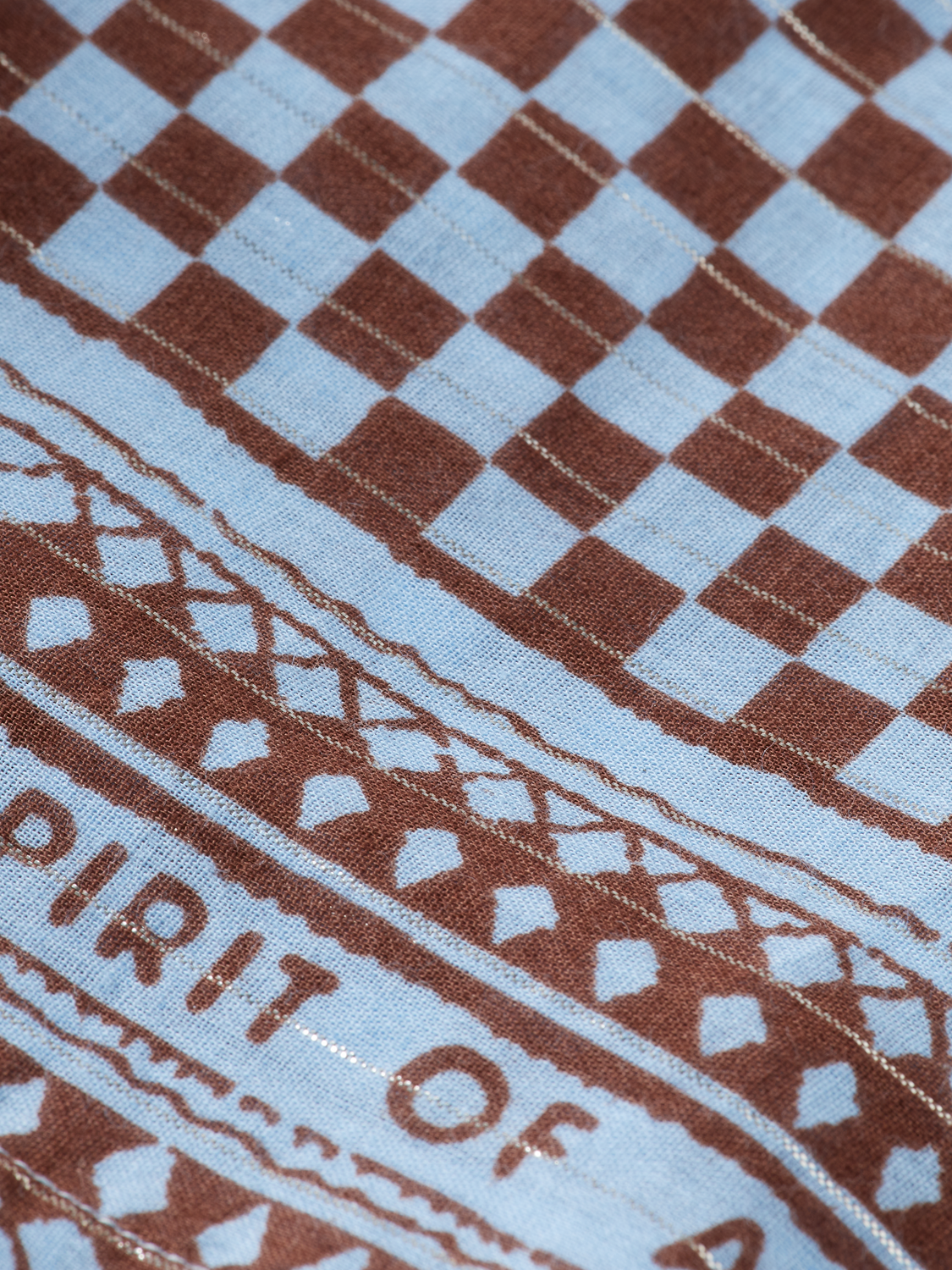 High Rise Lurex Stripe Printed Shorts