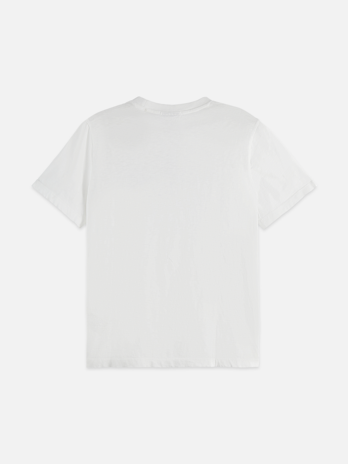 Regular Fit Graphic T-Shirt