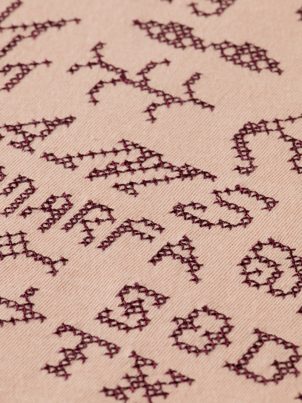 Embroidered Ringer Regular Fit T-Shirt