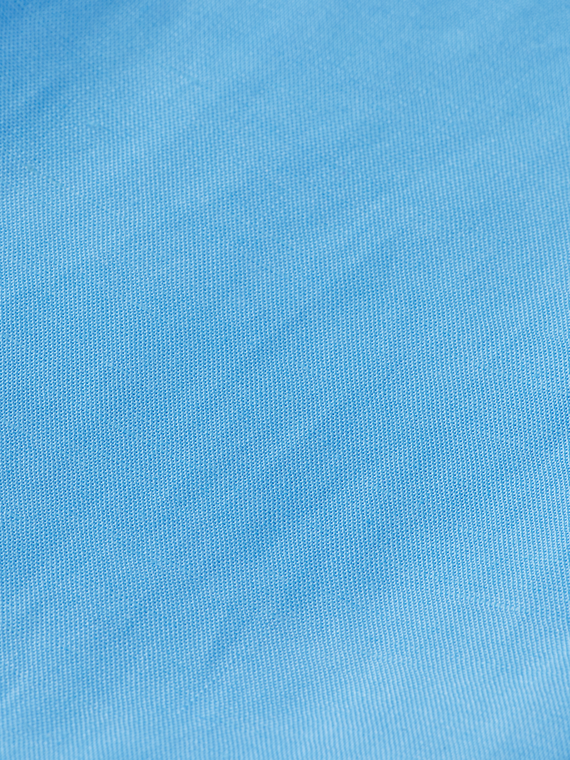 Edie High-Rise Tailored Wide-Leg Pant