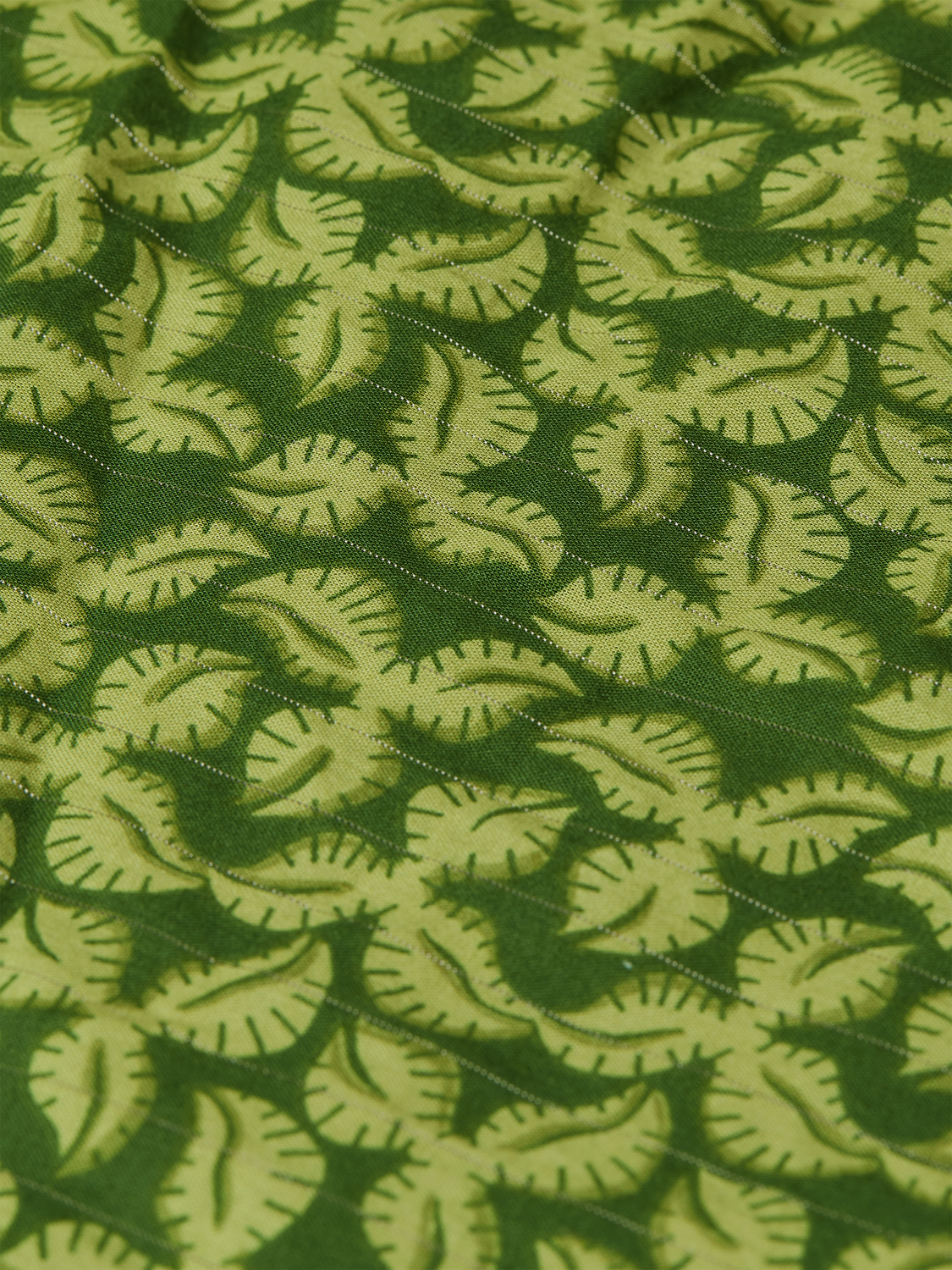 Printed Cotton Shorts